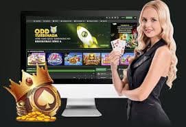 bb444 bet